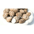 Yongxing Healthy Food Autumn Plant Tea Flower Mushroom